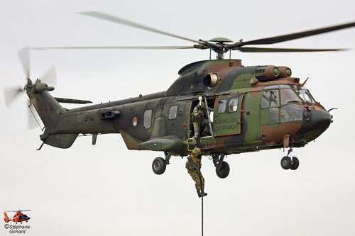 Hélicoptère AS532 Cougar de l'Armée de l'Air hollandaise (KLU)