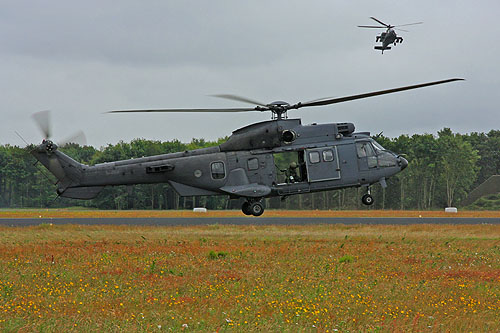 Hélicoptère AS532 Cougar de l'Armée de l'Air hollandaise (KLU)