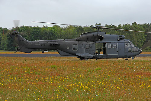 Hélicoptère AS532 Cougar de l'Armée de l'Air hollandaise (KLU)