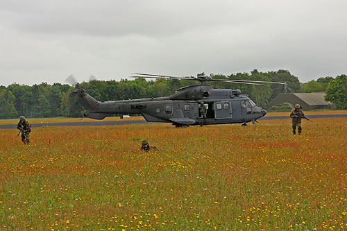 Hélicoptère AS532 Cougar de l'Armée de l'Air hollandaise (KLU)