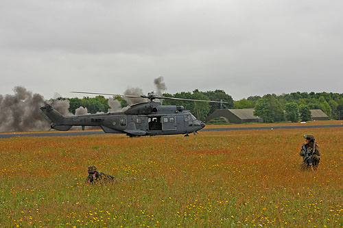 Hélicoptère AS532 Cougar de l'Armée de l'Air hollandaise (KLU)