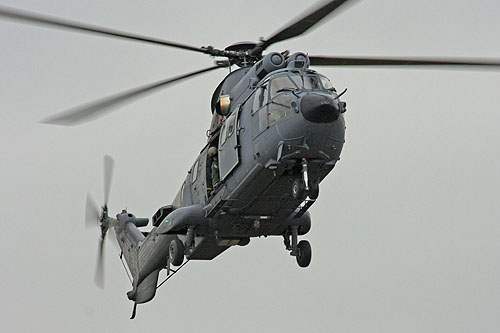 Hélicoptère AS532 Cougar de l'Armée de l'Air hollandaise (KLU)