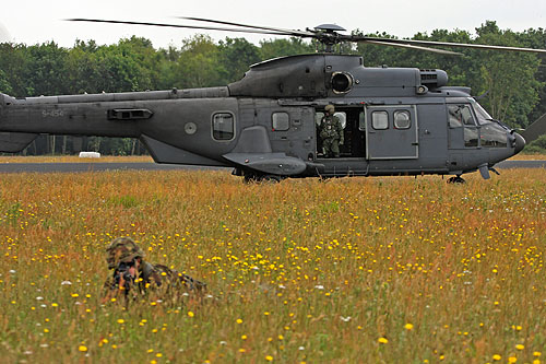 Hélicoptère AS532 Cougar de l'Armée de l'Air hollandaise (KLU)