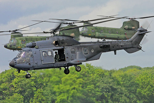 Hélicoptère AS532 Cougar de l'Armée de l'Air hollandaise (KLU)