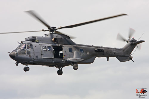 Hélicoptère AS532 Cougar de l'Armée de l'Air hollandaise (KLU)