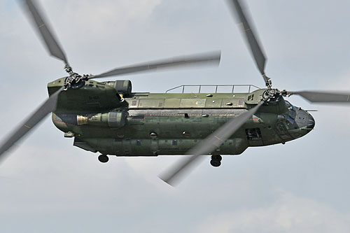 Hélicoptère CH47 Chinook Pays-Bas