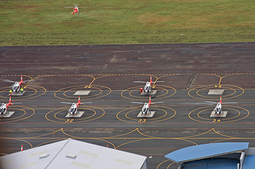 Les hélicoptères EC120 sur le tarmac