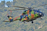 Hélicoptère NH90 Caïman ALAT France