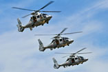 Hélicoptères Panther Marine France