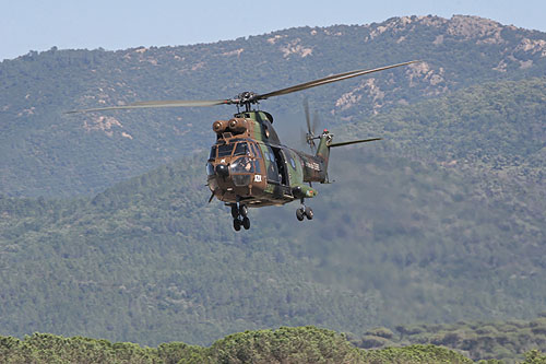 Hélicoptère SA330 Puma ALAT