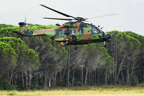 Hélicoptère de transport NH90 Caïman ALAT