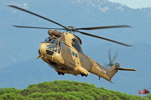 Hélicoptère de transport SA330 Puma ALAT