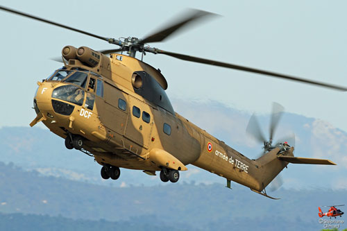 Hélicoptère de transport SA330 Puma ALAT