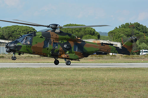 Hélicoptère de transport NH90 Caïman de l'ALAT