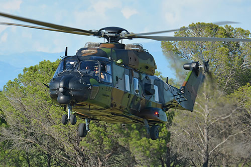 Hélicoptère de transport NH90 Caïman de l'ALAT