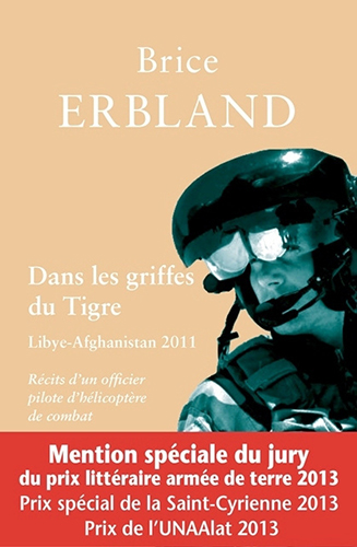 Dans les griffes du Tigre, de Brice ERBLAND