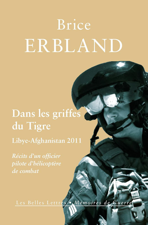 Dans les griffes du Tigre, de Brice ERBLAND