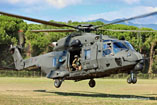 Hélicoptère NH90 TTH Esercito