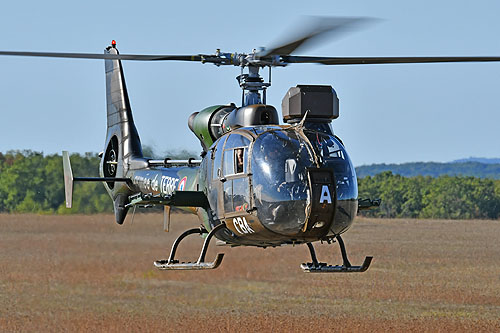 Hélicoptère Gazelle Armée de Terre France ALAT