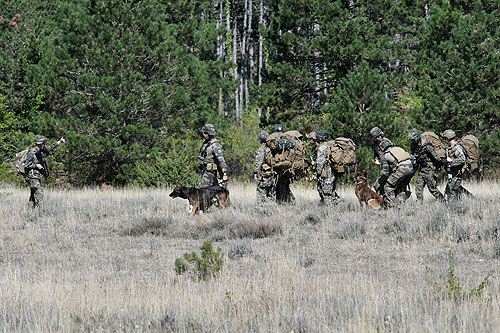 Soldats du Corps des Marines américains accompagnés d'un binôme cynophile de l'Armée de Terre française