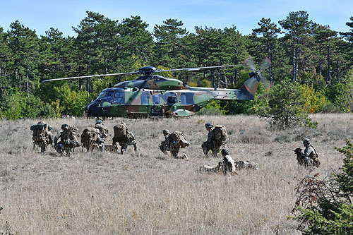 Hélicoptère NH90 de l'Armée de Terre française (ALAT)