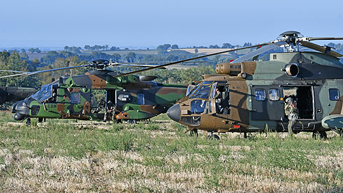 Hélicoptères NH90 de l'Armée de Terre française (ALAT) et AS332 SuperPuma de l'Armée de Terre espagnole (FAMET)