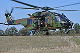 Hélicoptère NH90 de l'Armée de Terre française (ALAT)