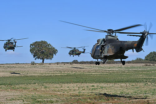 Hélicoptères NH90 de l'Armée de Terre française (ALAT) et AS332 SuperPuma de l'Armée de Terre espagnole (FAMET)