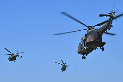 Hélicoptères NH90 de l'Armée de Terre française (ALAT) et AS332 SuperPuma de l'Armée de Terre espagnole (FAMET)