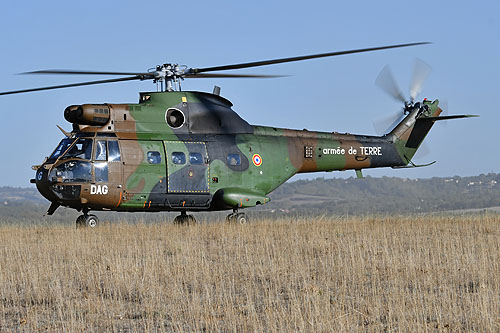 Hélicoptère SA330 Puma du 3e RHC de l'Armée de Terre