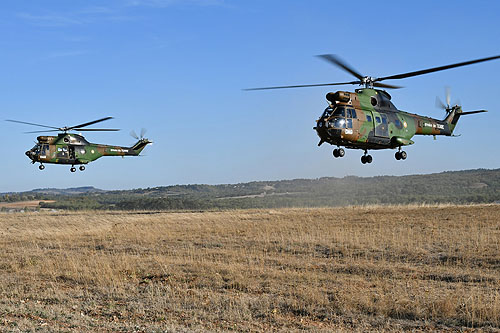 Hélicoptères SA330 Puma du 3e RHC de l'Armée de Terre