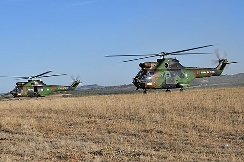 Hélicoptères SA330 Puma du 3e RHC de l'Armée de Terre