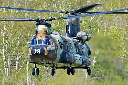 Hélicoptère de transport lourd CH47 Chinook de l'Armée de Terre espagnole (FAMET)