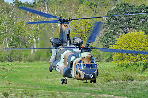 Hélicoptère de transport lourd CH47 Chinook de l'Armée de Terre espagnole (FAMET)