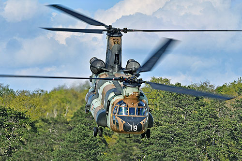 Hélicoptère de transport lourd CH47 Chinook de l'Armée de Terre espagnole (FAMET)