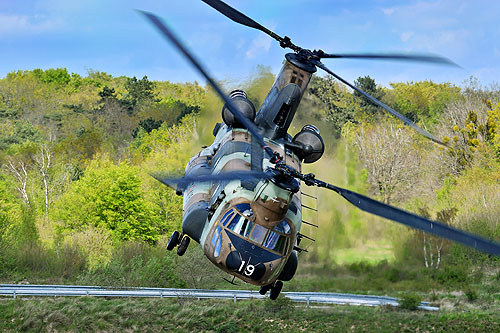 Décollage de l'hélicoptère CH47 Chinook de l'Armée de Terre espagnole