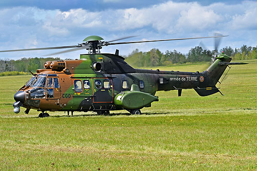 Hélicoptère NH90 de l'Armée de Terre espagnole (FAMET)