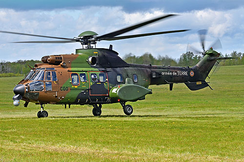 Hélicoptère NH90 de l'Armée de Terre espagnole (FAMET)