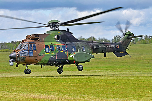 Hélicoptère NH90 de l'Armée de Terre espagnole (FAMET)