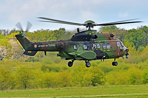 Hélicoptère NH90 de l'Armée de Terre espagnole (FAMET)