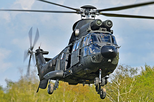 Hélicoptère AS332 SuperPuma ET509 de l'Armée de Terre espagnole (FAMET)