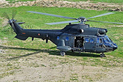 Hélicoptère AS332 SuperPuma ET509 de l'Armée de Terre espagnole (FAMET)