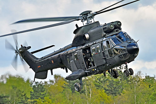 Hélicoptère AS332 SuperPuma ET509 de l'Armée de Terre espagnole (FAMET)