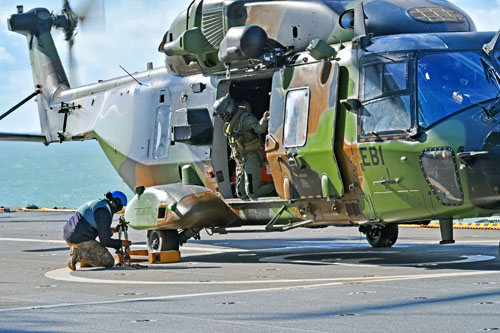 Le chien bleu enlève les saisines