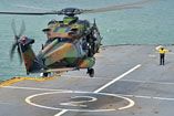 Un hélicoptère NH90 Caïman de l'Armée de Terre à l'appontage sur le porte hélicoptère Mistral de la Marine Nationale française