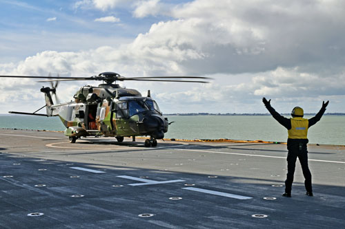 Le chien bleu enlève les saisines