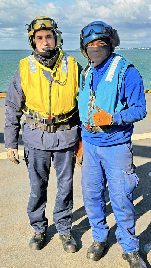 Chien jaune et chien bleu