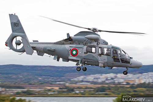 AS565 Panther - Bulgarie