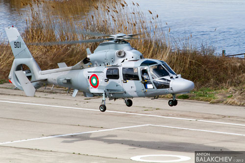 AS565 Panther - Bulgarie