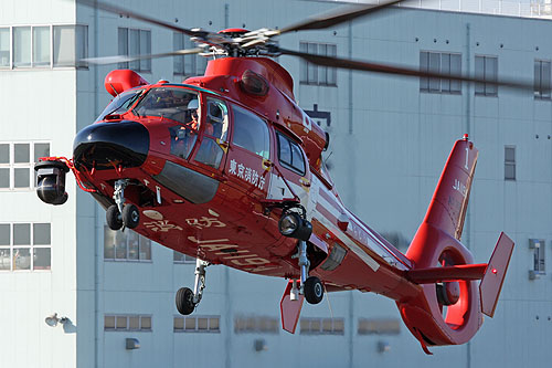 Hélicoptère AS365 Dauphin JA119A des pompiers de Tokyo (Tokyo Fire Department)